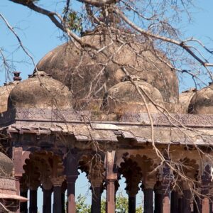 Ranthambore "The Wild Heart of Rajasthan", ex-Delhi