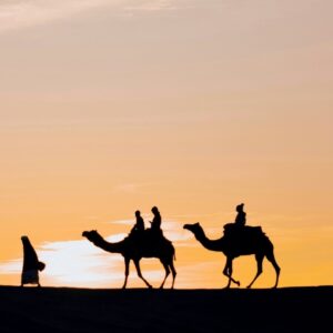 Rajasthan – The Land of Kings, ex-Delhi
